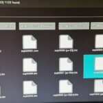 PS1 BIOS Files